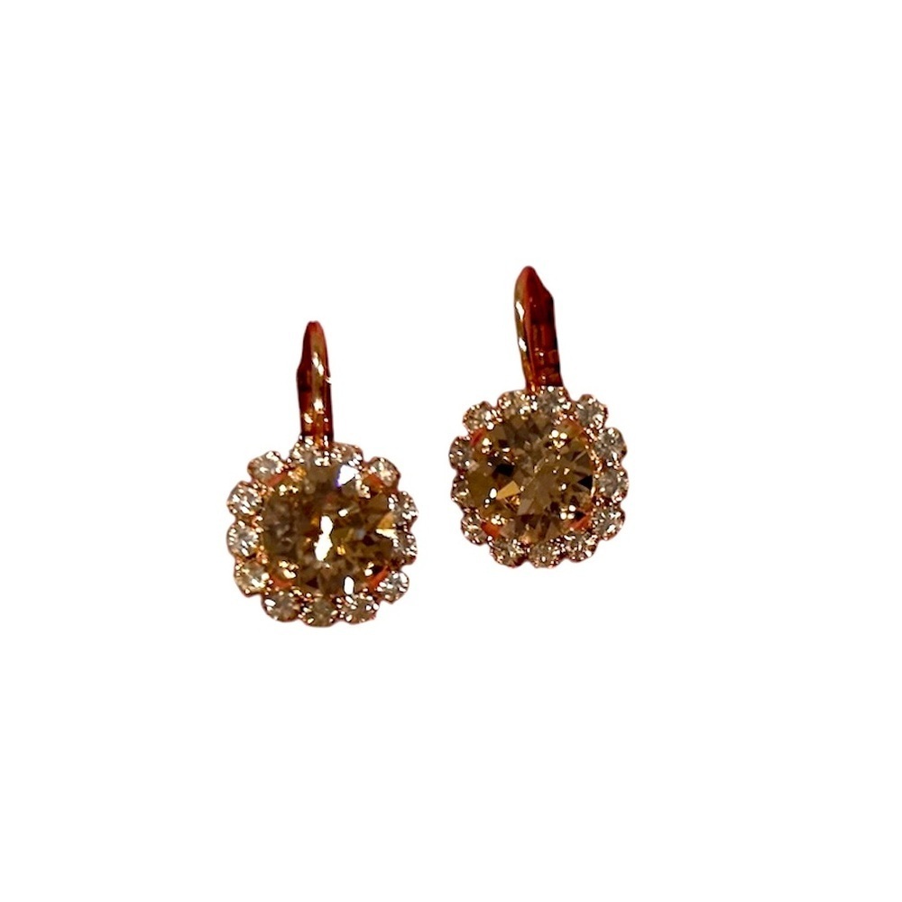 Elegant Rose Gold Crystal Earrings